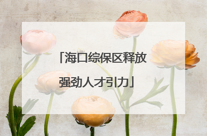 海口综保区释放强劲人才引力
