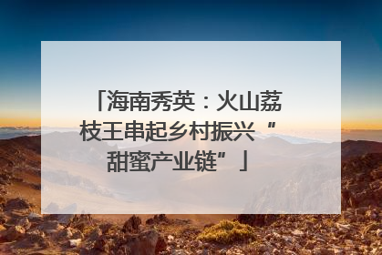 海南秀英：火山荔枝王串起乡村振兴“甜蜜产业链”