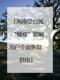 海南受台风“蝴蝶”影响用户全面恢复供电