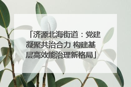 济源北海街道：党建凝聚共治合力 构建基层高效能治理新格局