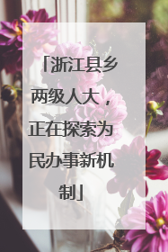 浙江县乡两级人大，正在探索为民办事新机制