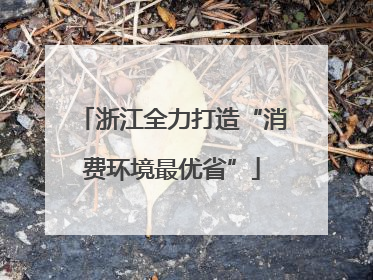 浙江全力打造“消费环境最优省”