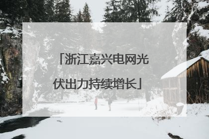 浙江嘉兴电网光伏出力持续增长