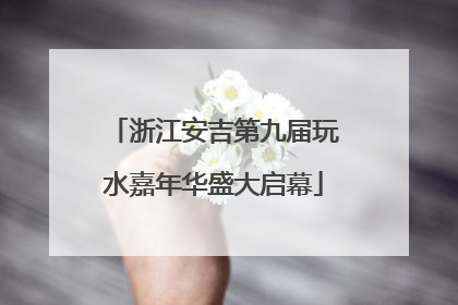 浙江安吉第九届玩水嘉年华盛大启幕