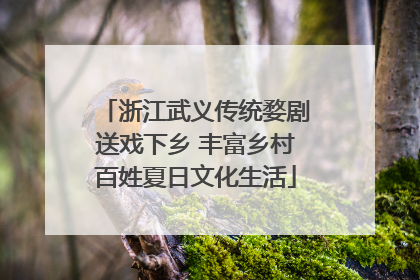 浙江武义传统婺剧送戏下乡 丰富乡村百姓夏日文化生活