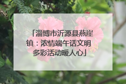 淄博市沂源县燕崖镇：浓情端午话文明 多彩活动暖人心