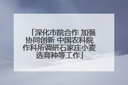 深化市院合作 加强协同创新 中国农科院作科所调研石家庄小麦选育种等工作