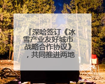 深哈签订《冰雪产业友好城市战略合作协议》，共同推进两地冰雪体育文化旅游高质量发展