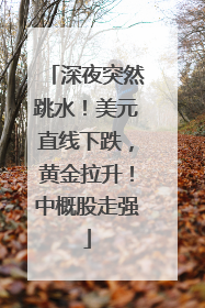 深夜突然跳水！美元直线下跌，黄金拉升！中概股走强
