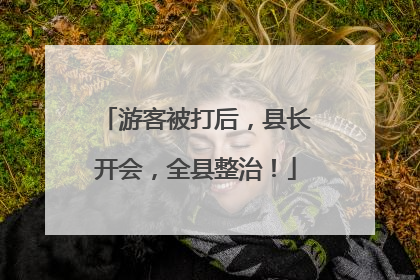 游客被打后，县长开会，全县整治！