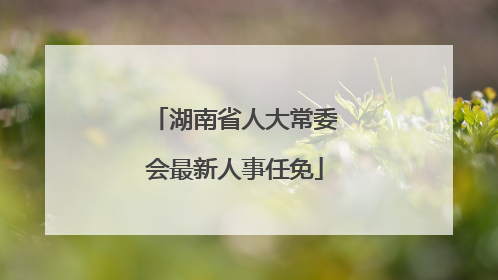 湖南省人大常委会最新人事任免