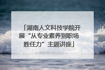 湖南人文科技学院开展“从专业素养到职场胜任力”主题讲座