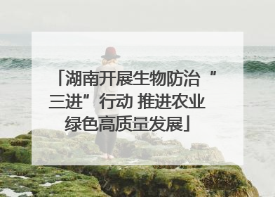 湖南开展生物防治“三进”行动 推进农业绿色高质量发展