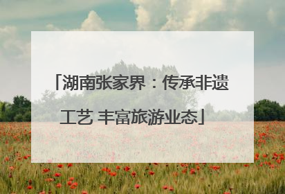 湖南张家界：传承非遗工艺 丰富旅游业态