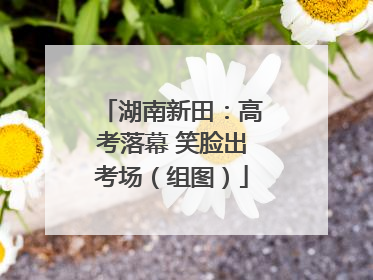 湖南新田：高考落幕 笑脸出考场（组图）