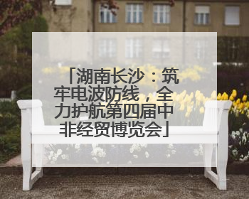 湖南长沙：筑牢电波防线，全力护航第四届中非经贸博览会