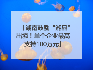 湖南鼓励“湘品”出境！单个企业最高支持100万元