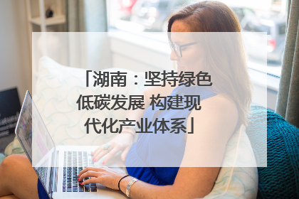 湖南：坚持绿色低碳发展 构建现代化产业体系
