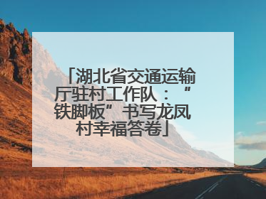 湖北省交通运输厅驻村工作队：“铁脚板”书写龙凤村幸福答卷