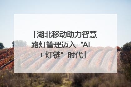 湖北移动助力智慧路灯管理迈入“AI＋灯链”时代