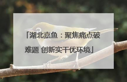 湖北嘉鱼：聚焦痛点破难题 创新实干优环境