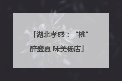 湖北孝感：“桃”醉盛夏 味美杨店