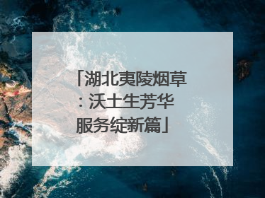 湖北夷陵烟草：沃土生芳华 服务绽新篇