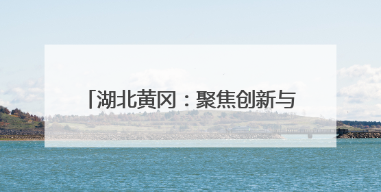湖北黄冈：聚焦创新与质量 打造三维新模式