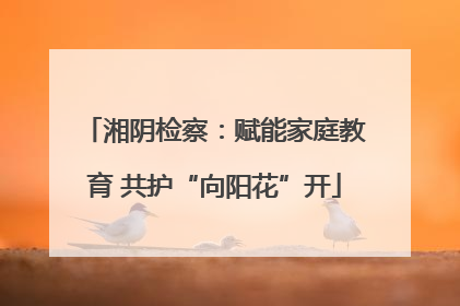 湘阴检察：赋能家庭教育 共护“向阳花”开