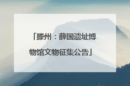 滕州：薛国遗址博物馆文物征集公告