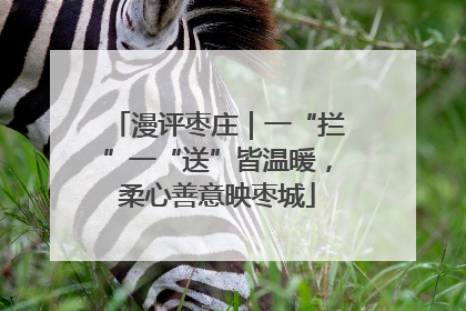 漫评枣庄｜一“拦”一“送”皆温暖，柔心善意映枣城