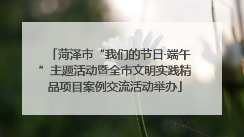 菏泽市“我们的节日·端午”主题活动暨全市文明实践精品项目案例交流活动举办