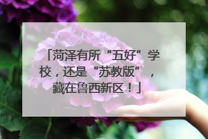 菏泽有所“五好”学校，还是“苏教版”，藏在鲁西新区！
