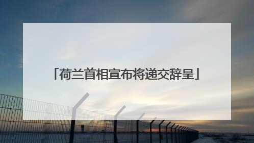 荷兰首相宣布将递交辞呈
