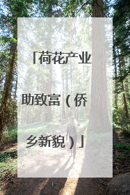 荷花产业助致富（侨乡新貌）