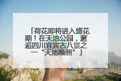 荷花即将进入盛花期！在天池公园，邂逅四川宜宾古八景之一“天池晚照”