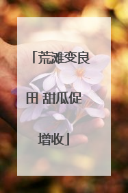 荒滩变良田 甜瓜促增收
