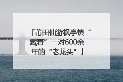 莆田仙游枫亭镇“藏着”一对600余年的“老龙头”