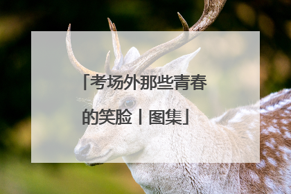 考场外那些青春的笑脸丨图集