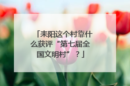 耒阳这个村靠什么获评“第七届全国文明村”？