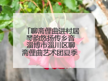聊斋俚曲进村居 琴韵悠扬传乡音 淄博市淄川区聊斋俚曲艺术团夏季专场演出在杏园子村举行