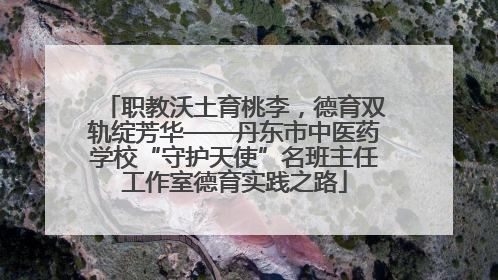 职教沃土育桃李，德育双轨绽芳华——丹东市中医药学校“守护天使”名班主任工作室德育实践之路