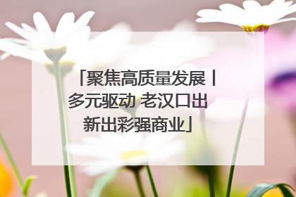 聚焦高质量发展丨多元驱动 老汉口出新出彩强商业