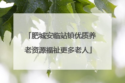 肥城安临站镇优质养老资源福祉更多老人