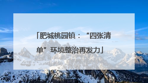 肥城桃园镇：“四张清单”环境整治再发力