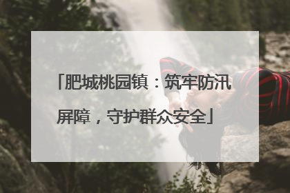 肥城桃园镇：筑牢防汛屏障，守护群众安全
