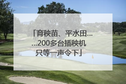 育秧苗、平水田……200多台插秧机只等一声令下