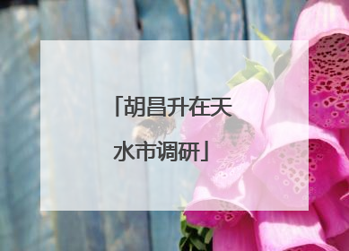 胡昌升在天水市调研