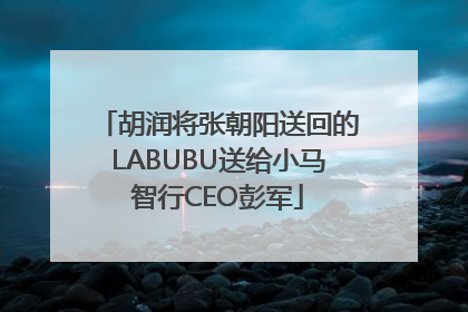 胡润将张朝阳送回的LABUBU送给小马智行CEO彭军