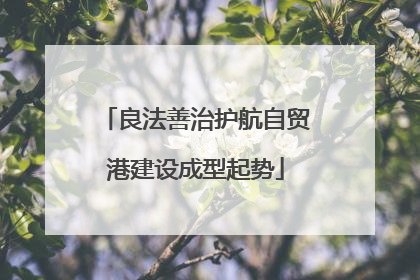 良法善治护航自贸港建设成型起势